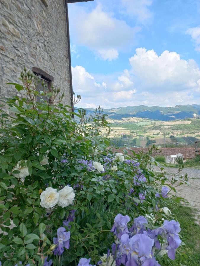 La Luna Buona Vesime 외부 사진